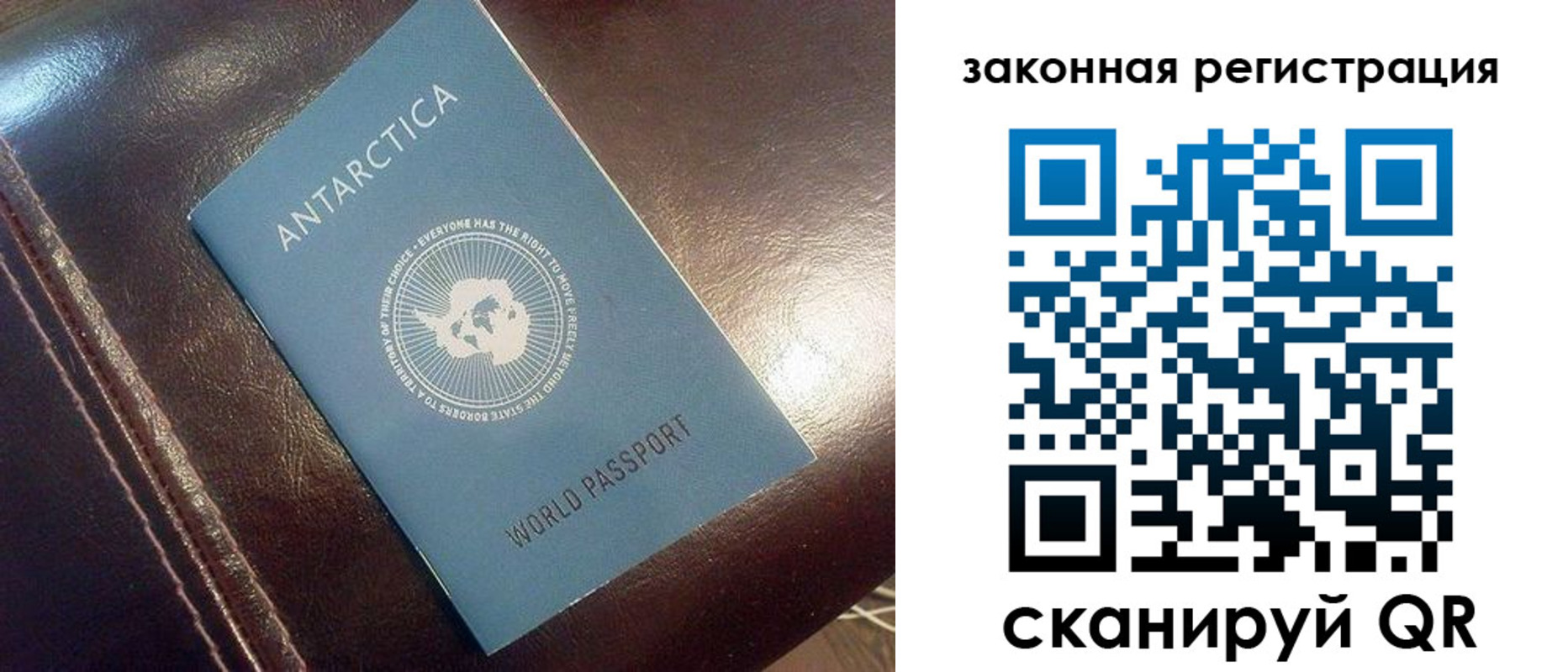 временная регистрация поиск в Лосино-Петровском